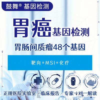 Gastrointestinal stromal tumor 48 gene (targeted+MSI+chemotherapy)