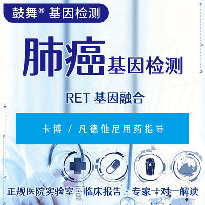 কেনা RET জিন ফিউশন FISH ক্যান্সারের জন্য জেনেটিক টেস্টিং 6 কার্যদিবসের চক্র online manufacture