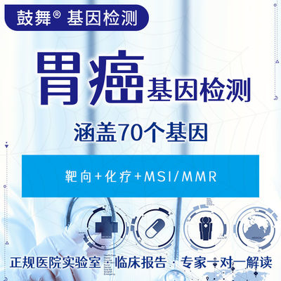Gastric Cancer 70 Gene Testing(Targeted+Chemotherapy+MSI/MMR)