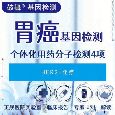Four Molecular Tests For Personalized Drug Use In Gastric Cancer (HER2+Chemotherapy)